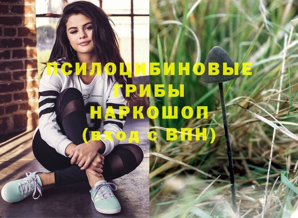 СК Заволжье