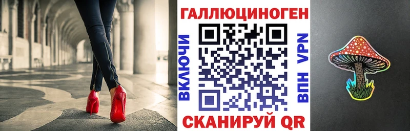 mega ССЫЛКА  Черкесск  Псилоцибиновые грибы Psilocybe 